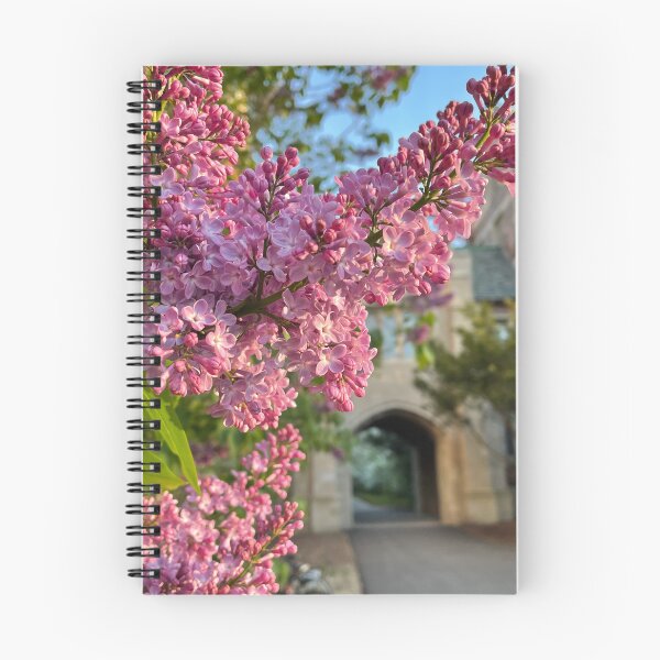 Item preview, The Lilac Archway designed and sold by Pisces-Pics.