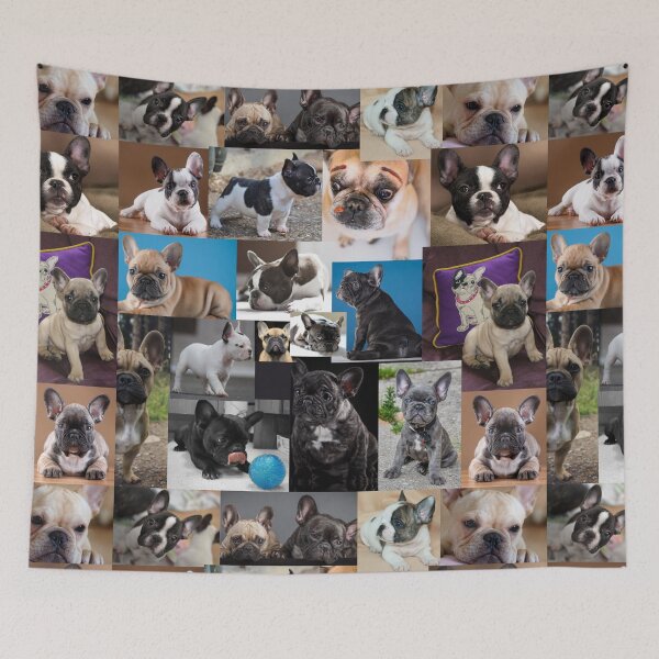 Item preview, French Bulldog Dog breed Collage - 2 designed and sold by CollageHeaven.