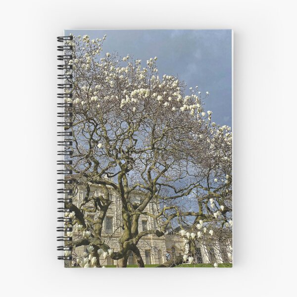 Item preview, Magnolia Tree coming into bloom designed and sold by Paddyb17.