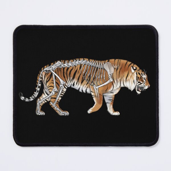 Item preview, Sumatran Tiger Skeleton Anatomy designed and sold by Pip Tacla.