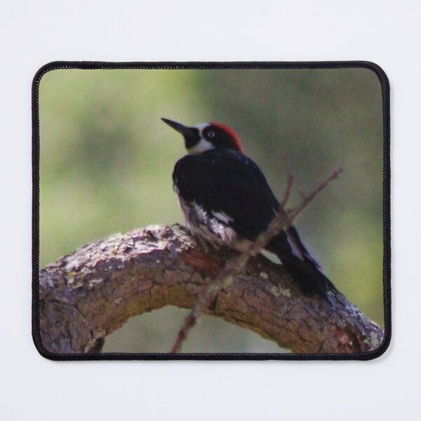Item preview, Wood Pecker designed and sold by craftsbydaphy.