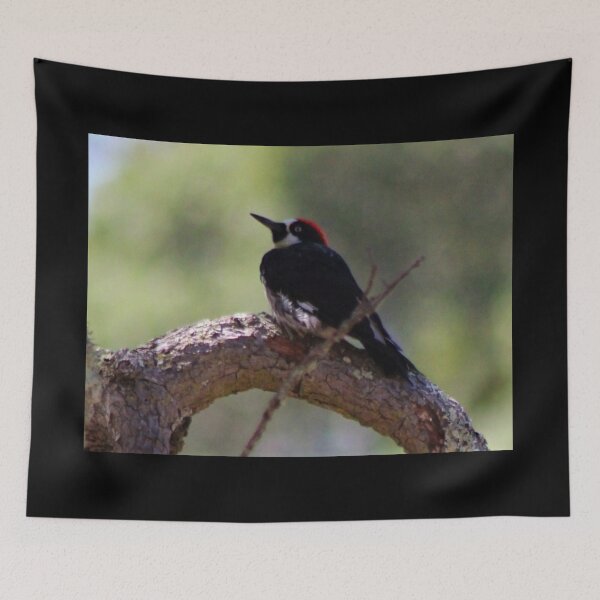 Item preview, Wood Pecker designed and sold by craftsbydaphy.