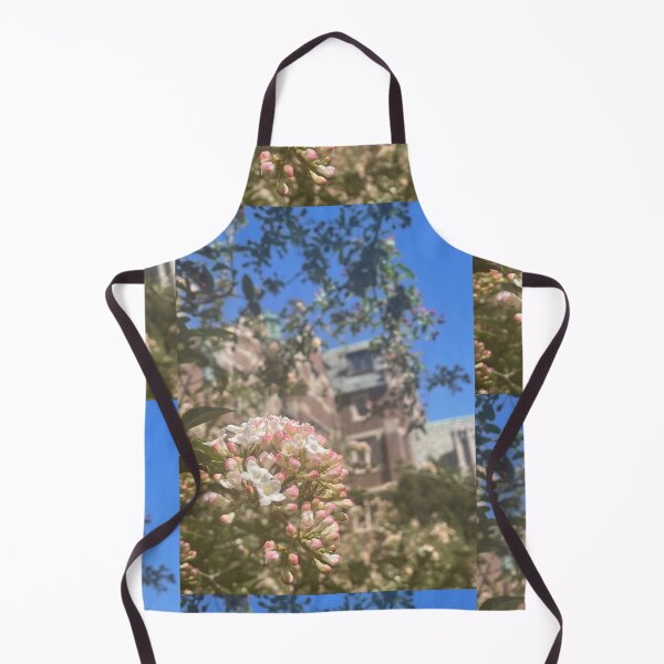 Item preview, Claflin Hall designed and sold by Pisces-Pics.