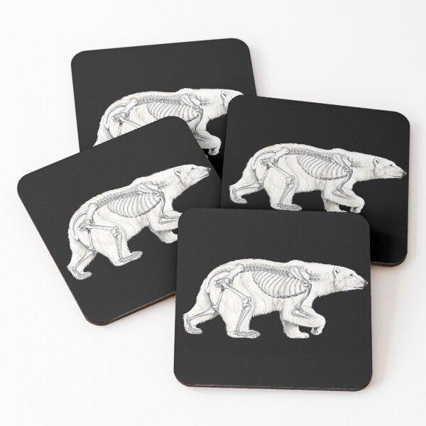 Item preview, Polar Bear Skeleton Anatomy designed and sold by Pip Tacla.
