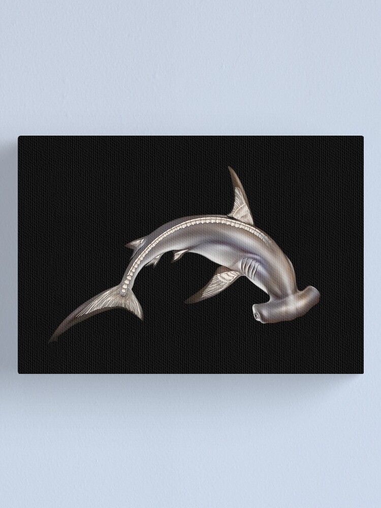 Hammerhead Shark Anatomy Long Sleeve, Hammerhead Print, Shark Tee