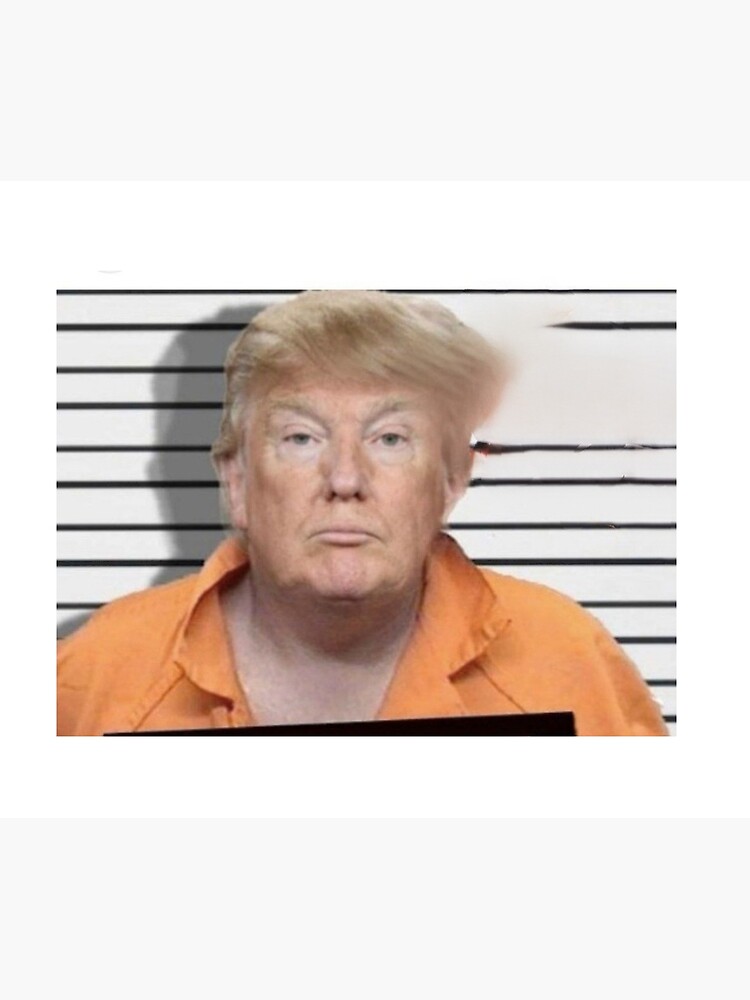 Trump Mug Shot Mug Funny Donald Trump Police Mugshot Photo - Temu