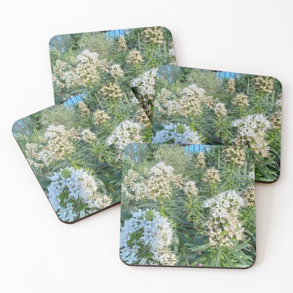 Item preview, Echium giganteum designed and sold by Yusein  Ismail.