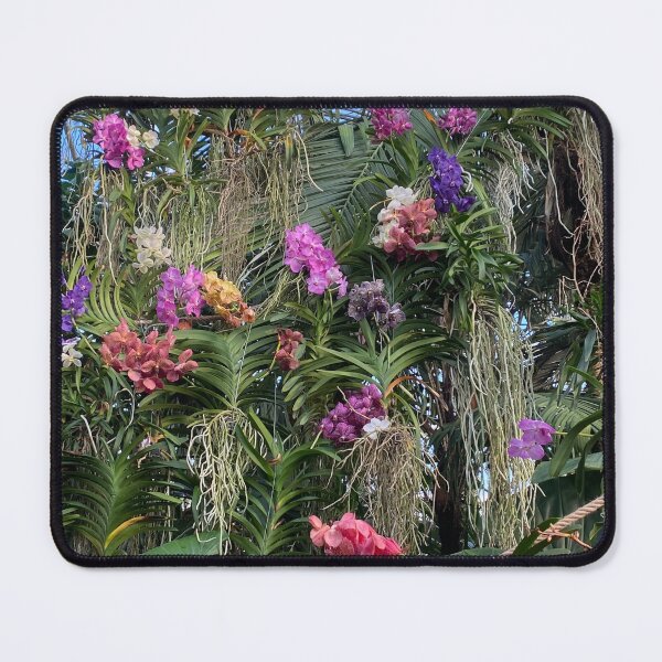 Item preview, Oleander flowers designed and sold by Yusein Ismail.