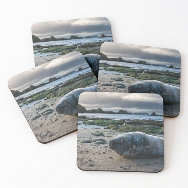 Item preview, The Beached Seal designed and sold by Jay Mayne.