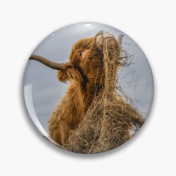 Item preview, Highland Cow Dinner Time  designed and sold by Jay Mayne.
