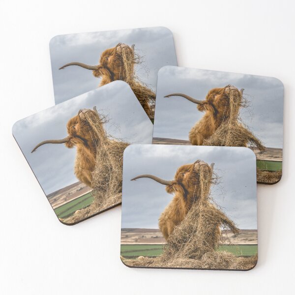 Item preview, Highland Cow Dinner Time  designed and sold by Jay Mayne.