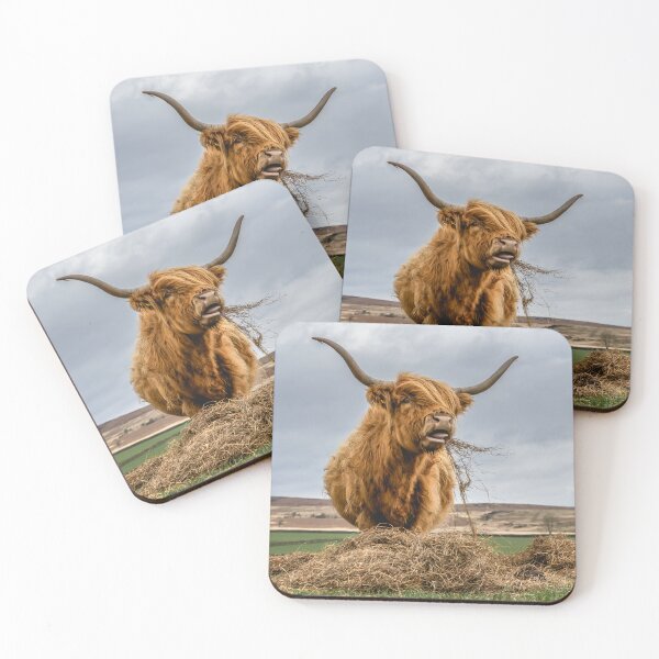 Item preview, Highland Cow Dinner Surprise designed and sold by Jay Mayne.