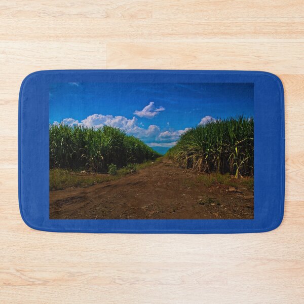 Item preview, Sugar Cane Is Grown In The Valle Del Cauca designed and sold by alabca.