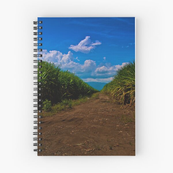 Item preview, Sugar Cane Is Grown In The Valle Del Cauca designed and sold by alabca.
