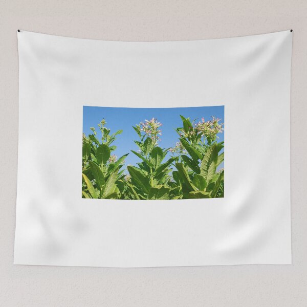 Item preview, Tobacco plant with flower field designed and sold by goceris.