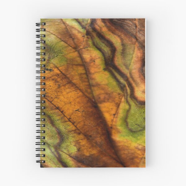 Item preview,  Nature's Art ~ The Changes of Color designed and sold by Carla Jensen.