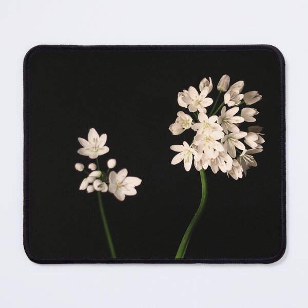 Item preview, Wild garlic. designed and sold by Paul Pasco.