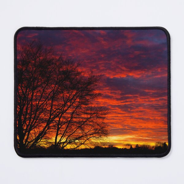 Item preview, Sunset Tree designed and sold by Nicole Gath.
