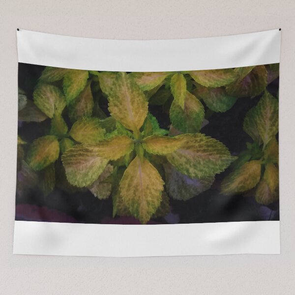 Item preview, Textured leaves designed and sold by Nilu Mishra.