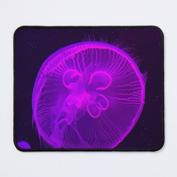 Item preview, Colorful Cnidaria  designed and sold by Pisces-Pics.