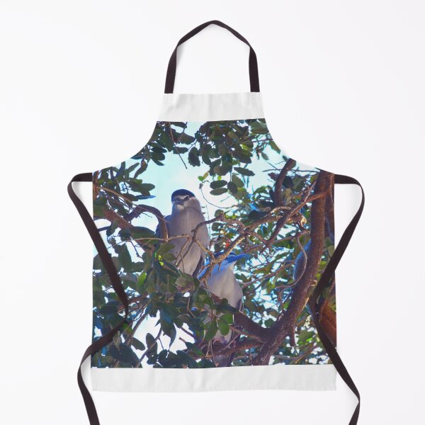 Item preview, Two Black Crowned Night Heron Perched In A Tree designed and sold by LisaWootenPhoto.