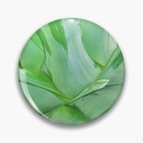 Item preview, Abstract Yucca designed and sold by LisaWootenPhoto.