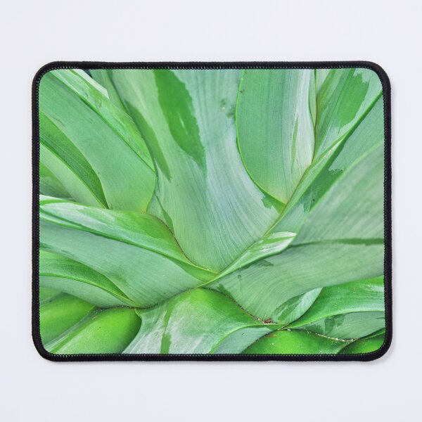 Item preview, Abstract Yucca designed and sold by LisaWootenPhoto.