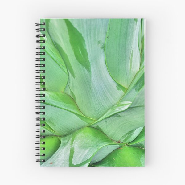 Item preview, Abstract Yucca designed and sold by LisaWootenPhoto.