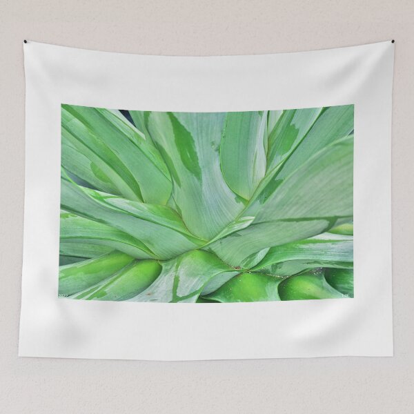 Item preview, Abstract Yucca designed and sold by LisaWootenPhoto.