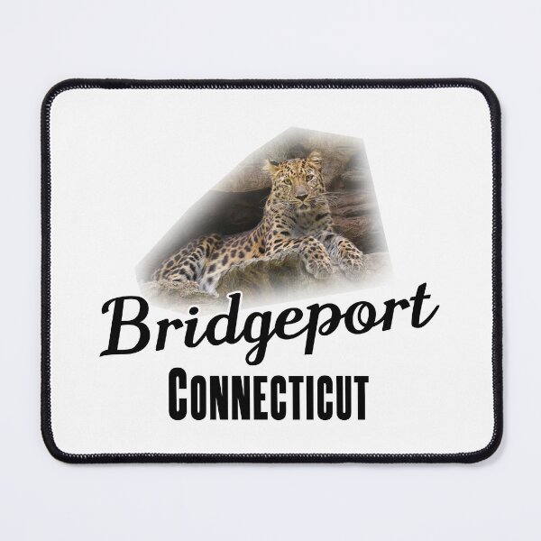 Item preview, Bridgeport, Connecticut - Popular Attraction designed and sold by leemcnut.