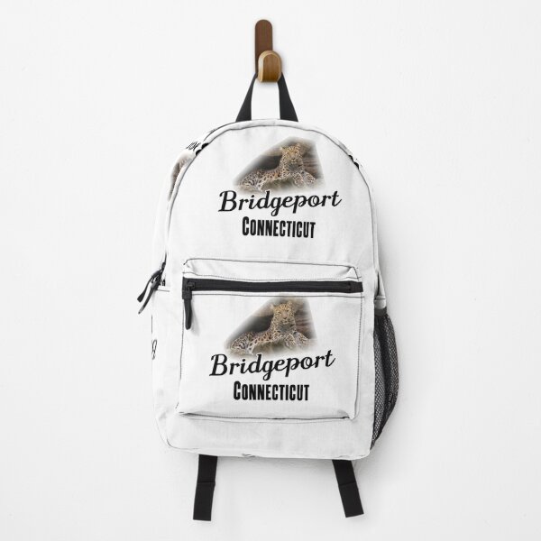 Item preview, Bridgeport, Connecticut - Popular Attraction designed and sold by leemcnut.