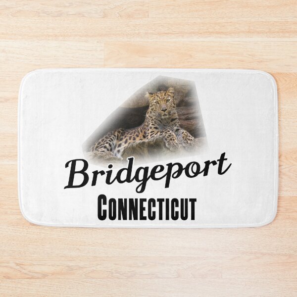 Item preview, Bridgeport, Connecticut - Popular Attraction designed and sold by leemcnut.
