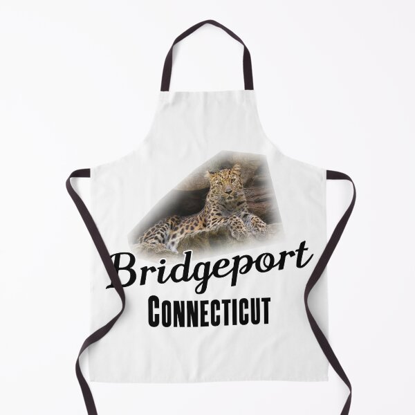 Item preview, Bridgeport, Connecticut - Popular Attraction designed and sold by leemcnut.