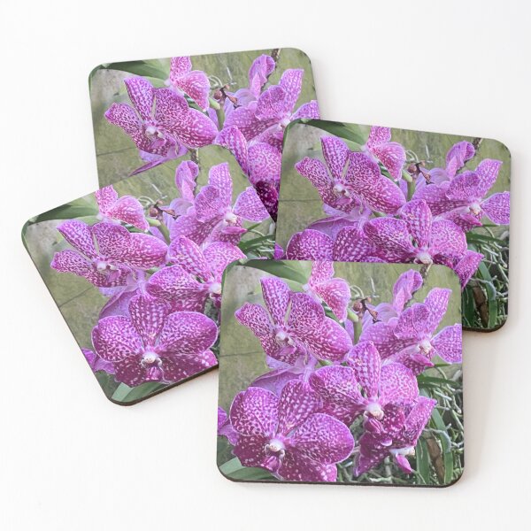 Artikelvorschau, Vanda cuerulea entworfen und verkauft von Yusein Ismail.