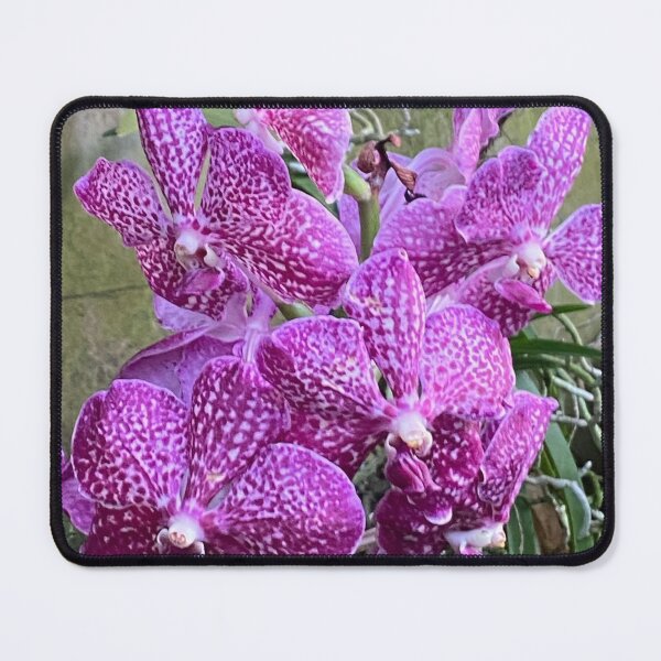 Item preview, Vanda cuerulea designed and sold by Yusein  Ismail.