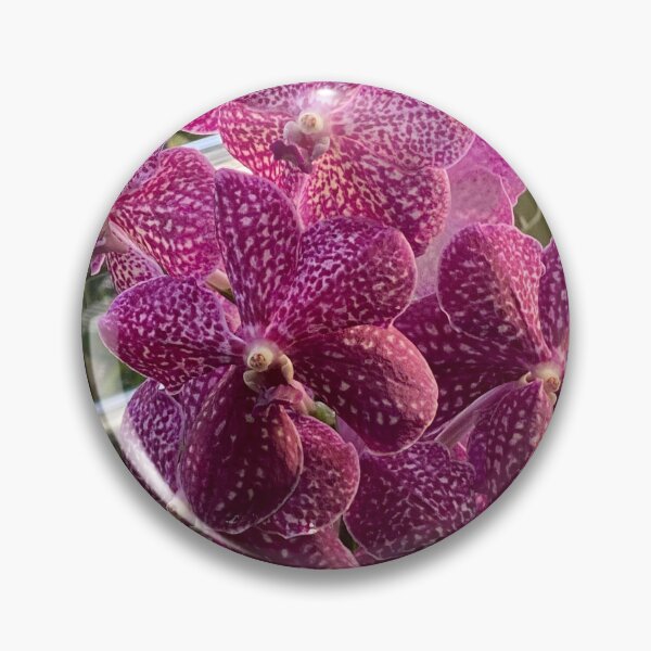 Artikelvorschau, Vanda-Orchidee entworfen und verkauft von Yusein Ismail.