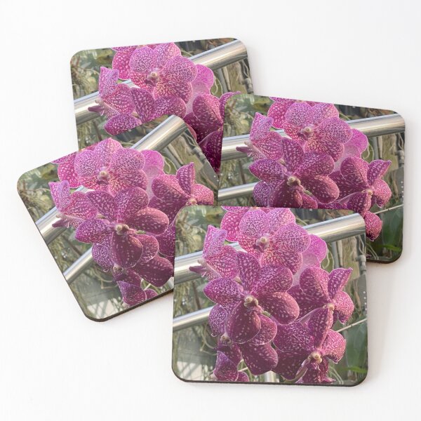 Artikelvorschau, Vanda-Orchidee entworfen und verkauft von Yusein Ismail.