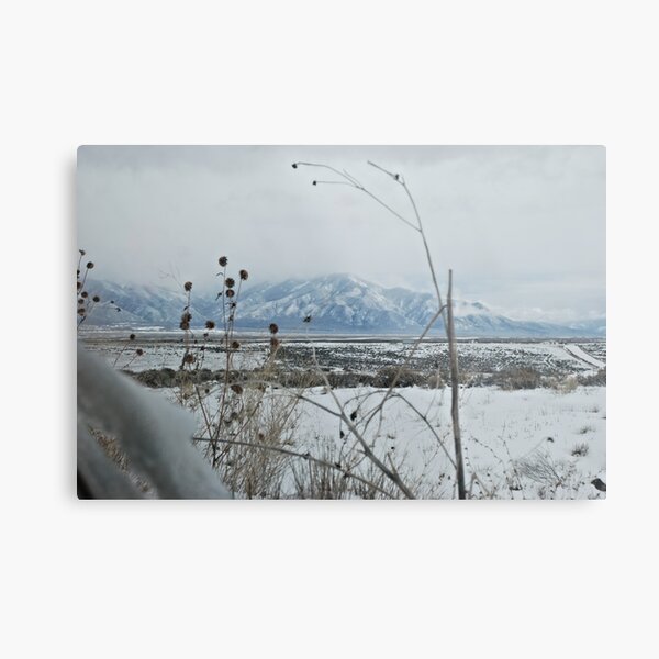 Scene In The Window Metal Print