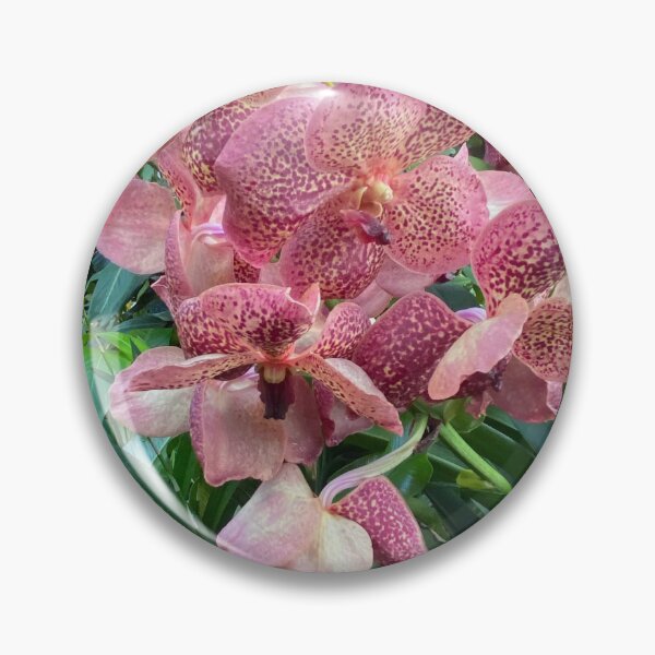 Item preview, Vanda Merrillii designed and sold by Yusein Ismail.