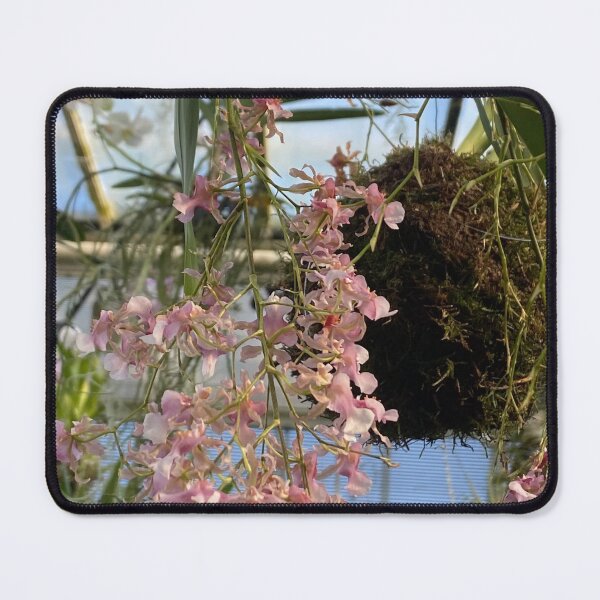 Item preview, Vanda designed and sold by Yusein  Ismail.