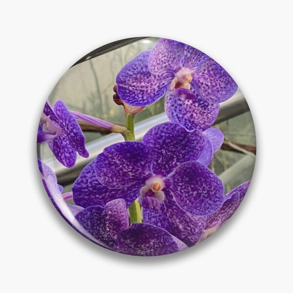Item preview, Vanda Blue designed and sold by Yusein Ismail.