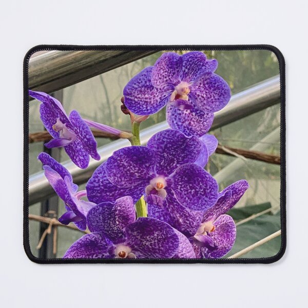 Item preview, Vanda Blue designed and sold by Yusein  Ismail.