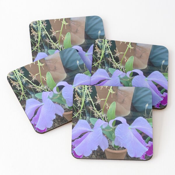 Artikelvorschau, Cattleya-Orchidee entworfen und verkauft von Yusein Ismail.