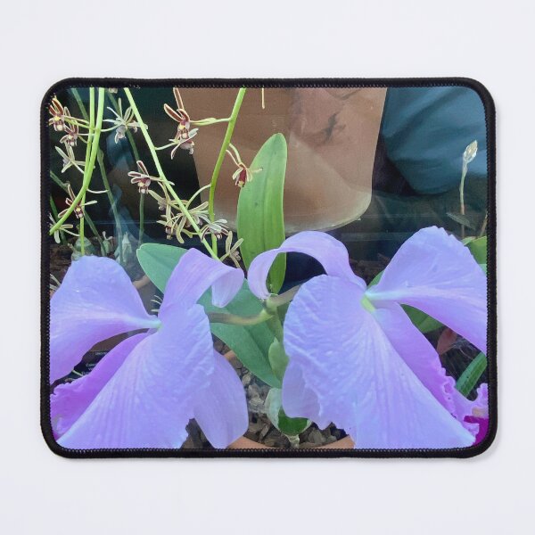 Item preview, Cattleya Orchid designed and sold by Yusein Ismail.