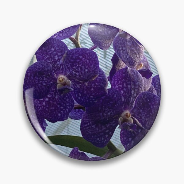 Artikelvorschau, Orchidee, Vanda Pachara entworfen und verkauft von Yusein Ismail.