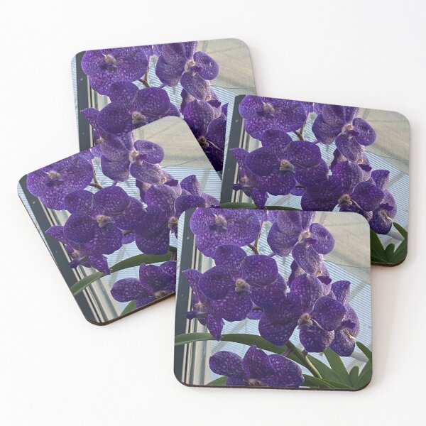 Artikelvorschau, Orchidee, Vanda Pachara entworfen und verkauft von Yusein Ismail.