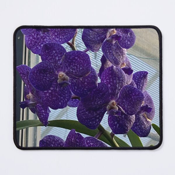 Item preview, Orchid, Vanda Pachara designed and sold by Yusein Ismail.