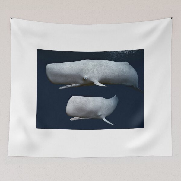 Item preview, Two Sperm Whales, Whale, Cetacean designed and sold by MIRO3D.
