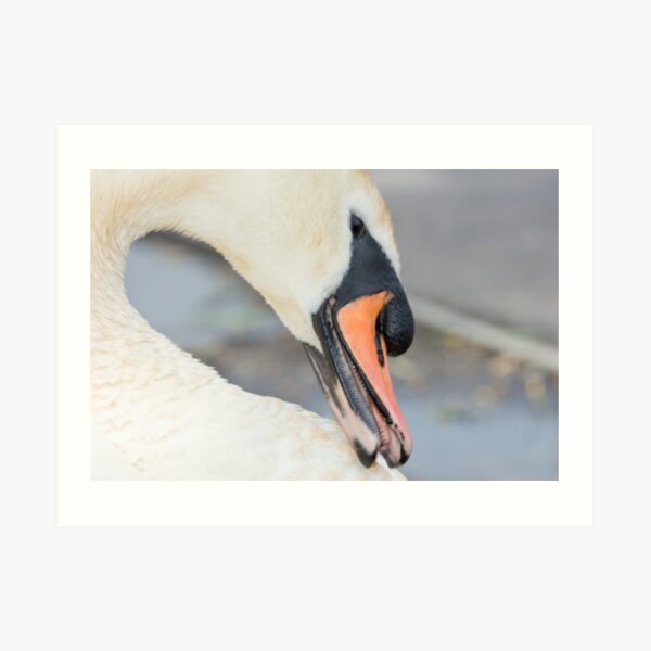 Do You Like My Blush? Art Print