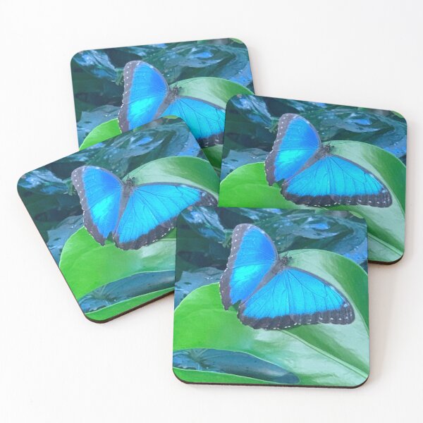 Item preview, Blue Morpho Butterfly designed and sold by Daniela Weil.